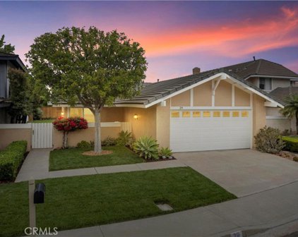 29 Blackswan, Irvine