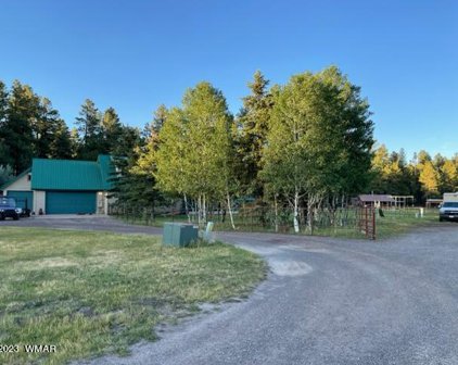 15 County Rd 1060, Greer