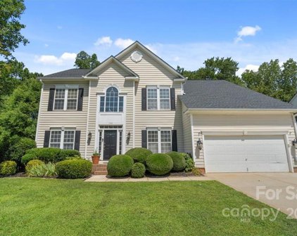 102 Doby Creek  Court, Fort Mill