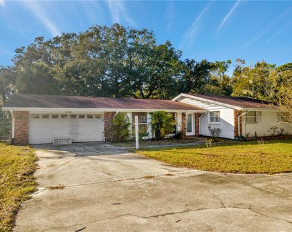 3701 Old Mulberry Road, Plant City