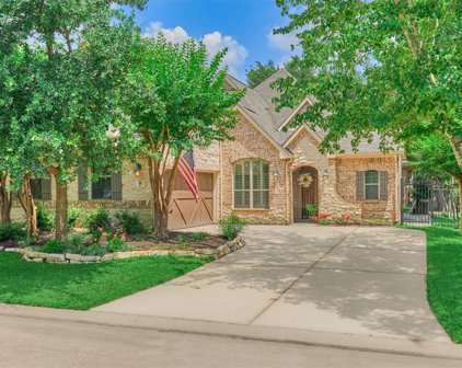 26 Columbia Crest Place, The Woodlands