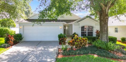 3691 Eversholt Street, Clermont