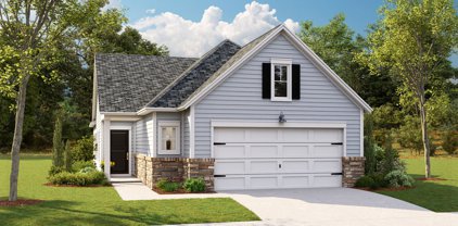 1240 Darling Street, Summerville
