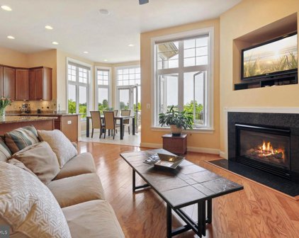 18976 Coreopsis Ter, Leesburg