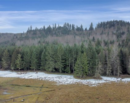 51405 Wanda Road E, Eatonville