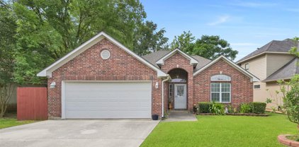 7031 Pleasure Lake Drive, Willis
