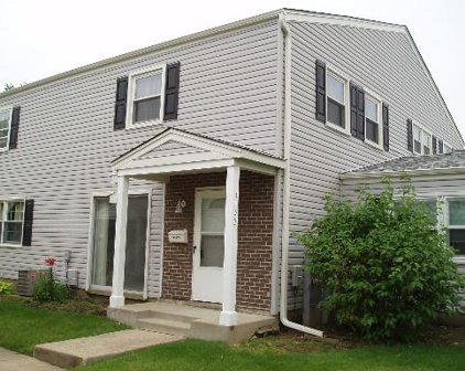 115 Lucille Court Unit #115, Bartlett