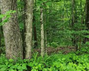 TBD Bond Springs Road Unit #Lot 2, Newfield image