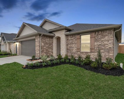 12722 Oat Grass Drive, Crosby