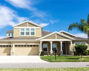 21986 Butterfly Kiss Drive, Land O' Lakes image