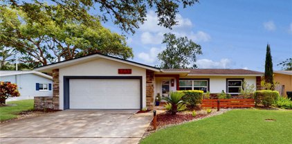 1731 Harmony Drive, Clearwater