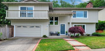 497 Willow Court, Novato