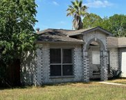 28703 Binefield Street, Spring image