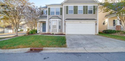 4909 Salera  Lane, Indian Land