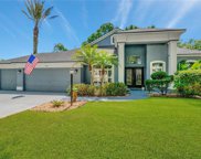4014 Valrico Grove Drive, Valrico image