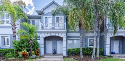 18133 Paradise Point Drive, Tampa