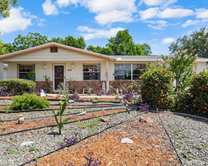 3437 Darlington Road, Holiday
