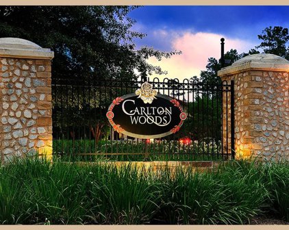 47 Pronghorn Place, The Woodlands