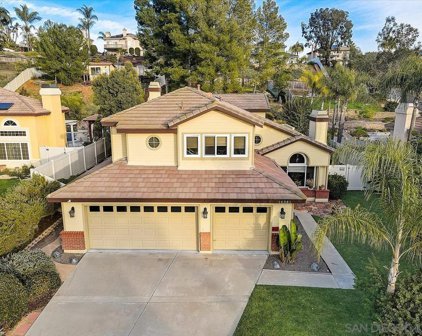 14381     Silver Heights Rd, Poway
