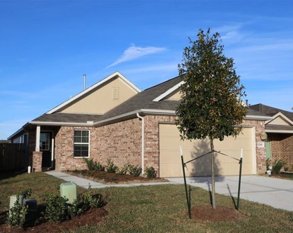 17438 Cyprian Cedar Lane, New Caney
