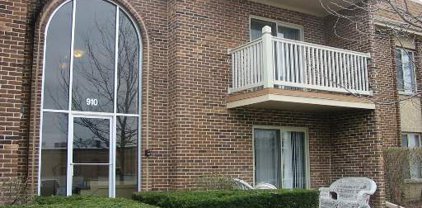 910 Alleghany Drive Unit #2D, Arlington Heights