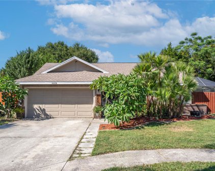 2259 Blue Tern Drive, Palm Harbor