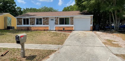618 Timber Bay Circle W, Oldsmar