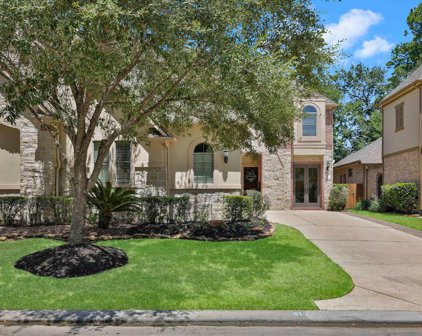 91 S Knights Crossing Drive, The Woodlands