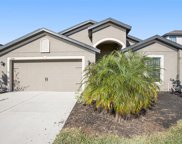 11808 Thicket Wood Drive, Riverview image
