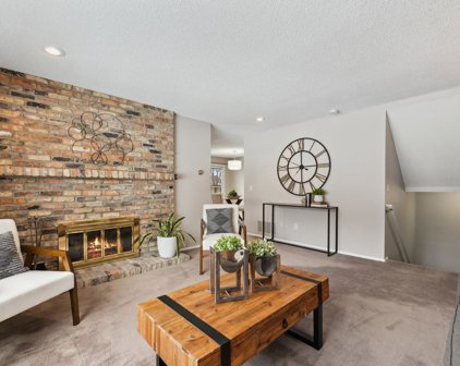 6333 Saint Johns Drive, Eden Prairie