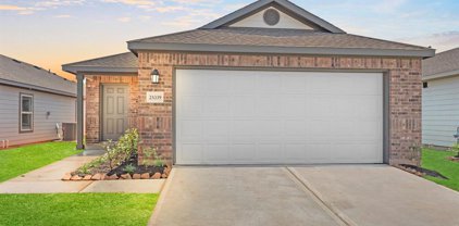 25475 Blue Mistflower, Montgomery
