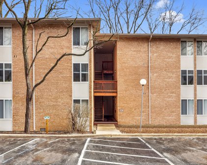 5817 Oakwood Drive Unit #F, Lisle