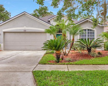 3233 Stonebridge Trail, Valrico