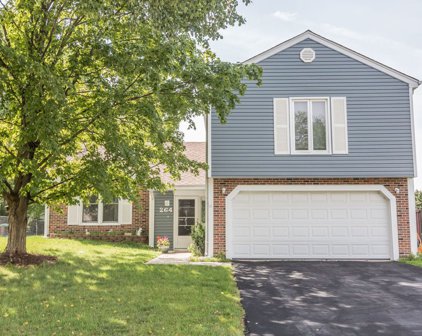 264 Lincoln Drive, Bartlett