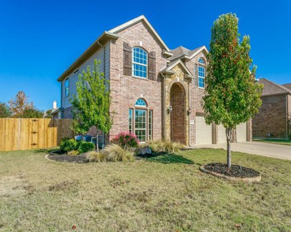 1112 Cactus Spine  Drive, Fort Worth
