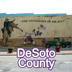 DeSoto County Florida Homes for Sale