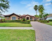 8456 Dunham Station Drive, Tampa image