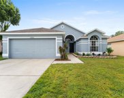 24806 Black Creek Court, Land O' Lakes image