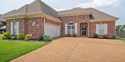 3343 Valley Crest Drive, Southaven