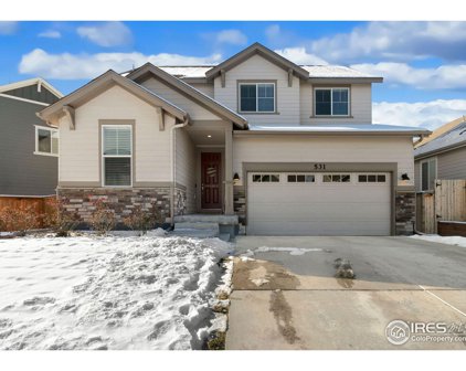 531 Ranchhand Dr, Berthoud