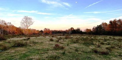 Mcvey Road Unit 26.13 acres, Lineville