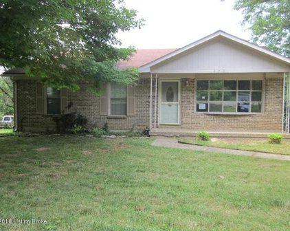 220 Mussel Ln, Shelbyville
