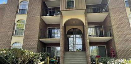 3316 Woodburn Village Dr Unit #3316-T2, Annandale