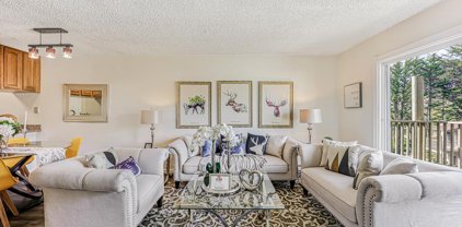 377 Mandarin Dr 314, Daly City