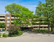9242 Gross Point Road Unit #D-105, Skokie image