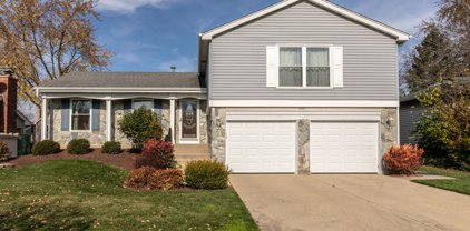 1020 Concord Drive, Bartlett