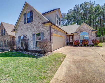 5798 W Bedford Loop, Southaven
