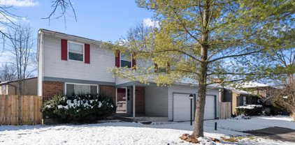 4175 Carnation Drive, Westerville