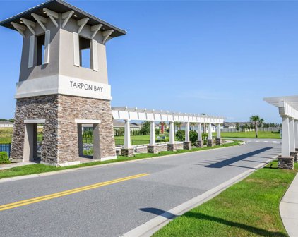 238 Tarpon Bay Boulevard, Haines City