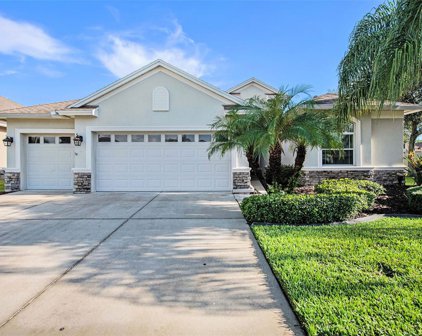 3329 Stonegate Falls Dr., Land O' Lakes